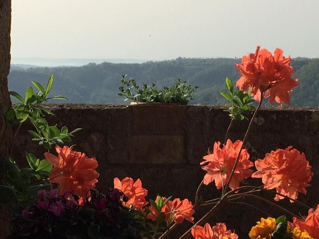 L'Incanto Di Civita Bagnoregio Εξωτερικό φωτογραφία